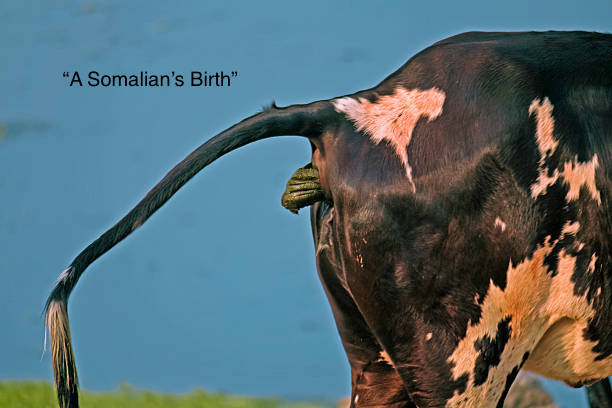 John Is Right, Again!